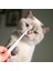 Mavi Kedi Diş Fırçası Yumuşak Saç Fırçası Kediler Için Ağız Temizleme Kedi Fırçası Diş Temizleme Pet Bakım Kediler Diş Fırçası Evcil Hayvan Ürünleri (Yurt Dışından) 3