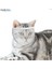 S-17X21 cm Şeffaf Nefes Kedi Na mlu Ayarlanabilir Anti Bite Ağızlıklar Kedi Çiğneme Araçlarını Önleyin Yavru Ağızlıklar Maske Evcil Hayvan Malzemeleri (Yurt Dışından) 2