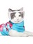 S-17X21 cm Şeffaf Nefes Kedi Na mlu Ayarlanabilir Anti Bite Ağızlıklar Kedi Çiğneme Araçlarını Önleyin Yavru Ağızlıklar Maske Evcil Hayvan Malzemeleri (Yurt Dışından) 3