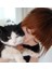 Portakal Kabuğu L 20 Adet/grup Kedi Tırnak Kapakları Yumuşak Kedi Pençe Kedi Pençesi Xs, S , M, L Ücretsiz Tutkal ile (Yurt Dışından) 4