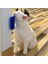 Pembe Fonksiyonel Kedi Köşe Gıdıklama Tarak Fırça Yavru Duvar Sticker Masaj Kendini Damat Tarak Kitty Ürünleri Için Pet Rubs Bengal (Yurt Dışından) 2