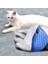 Gül Sol Resim Olarak Kediler Köpekler Için Evcil Hayvan Bakım Eldivenleri Banyo Eldiveni Fırçalar Masaj Kabağı Scrubber Vücut Wa Mascotas Accesorios Gatos Kedi Sphynx Kitten (Yurt Dışından) 5
