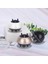Altın 6x5.8 cm Aplikatör Saç Derisi Yağı Şişesi Serum Tarak Fırça Büyüme Rulo Kök Scrubber Derin Duş Silikon Dağıtıcı Boş Uygulayarak (Yurt Dışından) 4