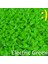 Electric Green Xs 120 Adet - Kediler Için Yumuşak Tırnak Başlıkları + 6x Yapışkan Tutkal + 6x Aplikatör /* Xs, S, M, L, Kapak, Kedi, Pençe, Pençe, Ztp */ (Yurt Dışından) 5