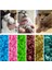 Yeşil Glitter Xs Yeni Moda Renkli Kedi Tırnak Kapakları Yumuşak Kedi Pençe Yumuşak Paws 20 Adet/grup Yapışkan Tutkal ile Boyut Xs S M Lgift Evcil Hayvan Için (Yurt Dışından) 2