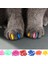 F Beyaz 20 Adet Xs 20 Adet Yeni Moda Renkli Kedi Tırnak Kapakları Yumuşak Kedi Pençe Yumuşak Paws 20 Adet/Grup Yapışkan Tutkal İle Boyut Xs S M Lgift Evcil Hayvan Için (Yurt Dışından) 2