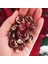 Çilli Lima Fasulyesi Tohumu Christmas Lima Bean Seeds 1