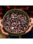 Çilli Lima Fasulyesi Tohumu Christmas Lima Bean Seeds 3