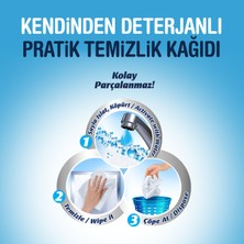 Familia Deterjanlı Temizlik Kağıdı 12 Rulo (2 Rulo x 6 Paket)