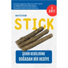 Pawdaz Matatabi -Stıck (3 Adet) - Kediler İçin Diş Temizleyen ve Stres Gideren Oyuncak