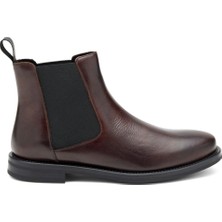 Frau Kadın Bot 98L3 Frau Seta Ankle Boot Caffe