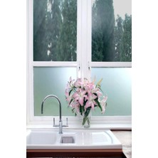 Cam Kumlama Kendilğinden Yapışkanlı Folyo 50 cm  x 6 mt