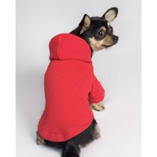 Bonanza Redly Köpek Sweatshirt Hoodie Köpek Kazağı Köpek Kıyafeti