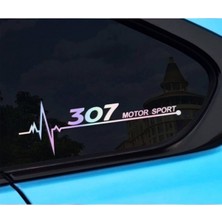 TSC 307 Yan Cam Sticker Oto Kapı 20 cm x 7 cm Hologram C73