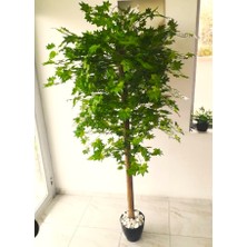 Yapay Çınar Ağacı 2 mt Büyük Boy Yeşil Geniş Asma Yaprak Çınar Ağaç Çiçek