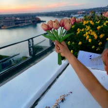 Yapay Çiçek Islak Lale Somon Pembe-Fuşya 8'li Demet