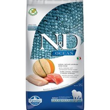 N&D  Ocean Somon ve Morina Balıklı Giant Maxi Yetişkin Köpek Maması 12 kg