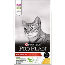 Pro Plan Adult Tavuklu Yetişkin Kedi Maması 10 kg