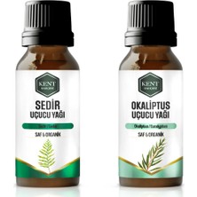 Kent Bahçesi 2'li Uçucu Yağ Seti Sedir+Okaliptus 10 ml