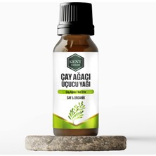 Kent Bahçesi Çay Ağacı Uçucu Yağı 10 ml