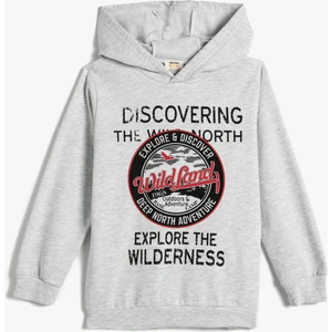 Kapşonlu Sweatshirt Şardonlu Baskılı Uzun Kollu lu