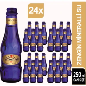 Premium Doğal Mineralli Su 24 x 250 ml