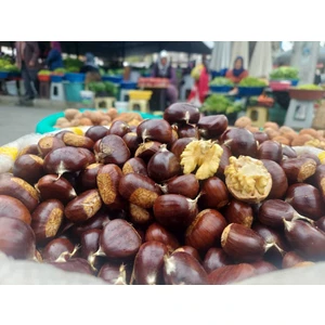 Organik kebaplık aydın Kestane duble Boy 
Net 1 kg
