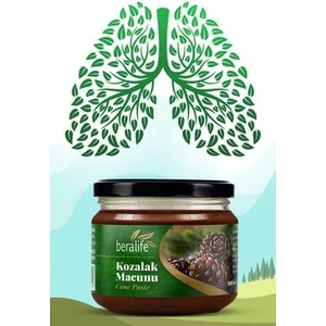 Kozalak Macunu 300 gr