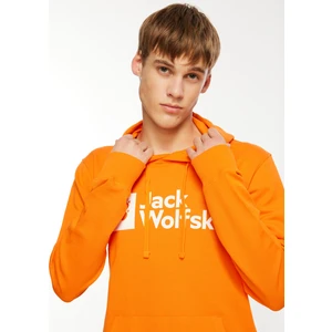 Jack Wolfskin Arthur Hoody Erkek  Sweatshirt