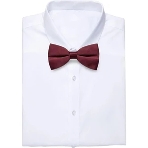 Mood Agenda Erkek Düz Renk Saten Papyon