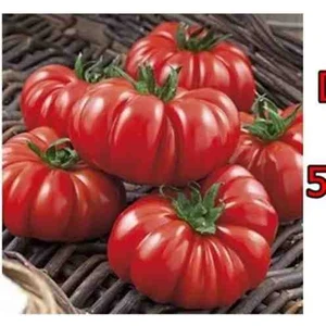 Tarımsal ve Hayvansal Ürünler 5 Adet Köylü Domatesi Ata Tohumu