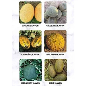 Tarımsal ve Hayvansal Ürünler 10 Adet Karışık Cinste Köylü Kavunu Ata Tohumu