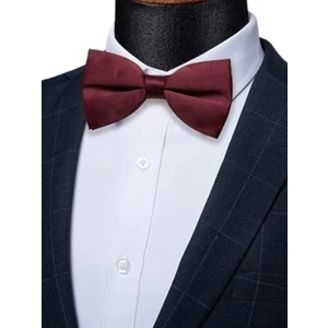 Erkek Düz Renk Saten Papyon