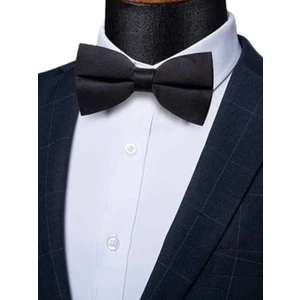 Erkek Düz Renk Saten Papyon