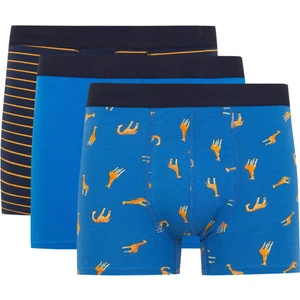 Regular Fit 3'lü Boxer B4073AX23AU