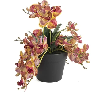 Mikasa Moor Fuşya 9'lu Sarkan Yapay Orkide 40 cm