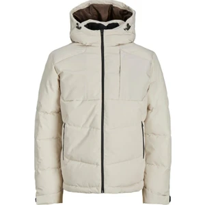 Jack & Jones Otıs Derachable Hood Puffer Erkek Mont 12250756