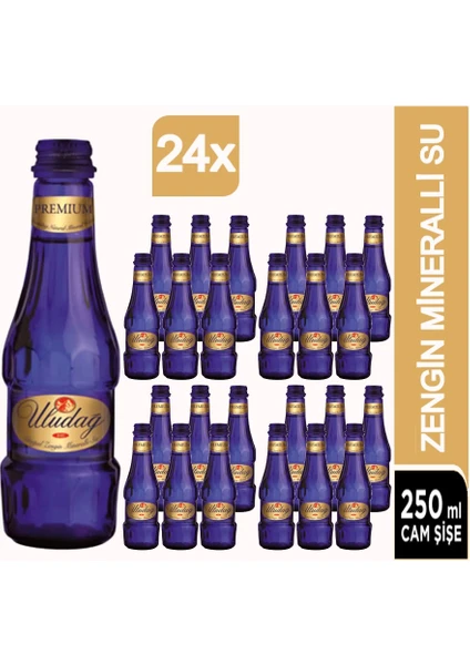 Premium Doğal Mineralli Su 24 x 250 ml