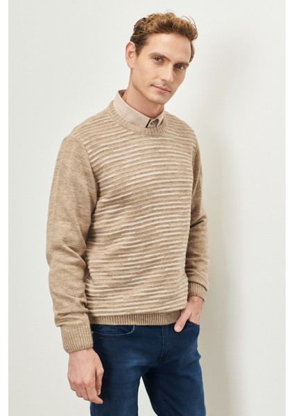 ALTINYILDIZ CLASSICS Erkek Vızon-kemık Standart Fit Normal Kesim Bisiklet Yaka Dokulu Desenli Triko Kazak