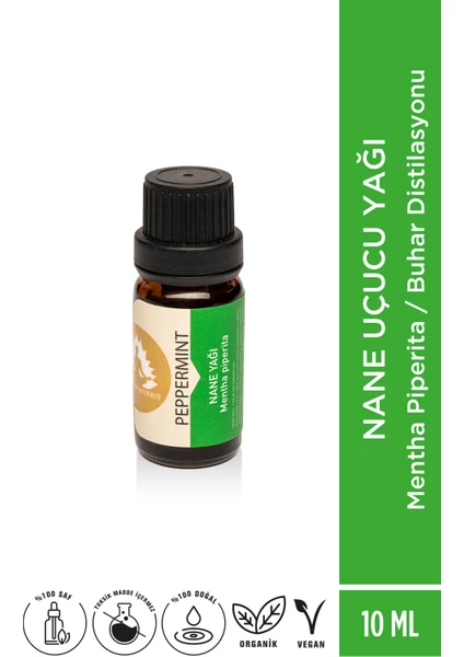 Therapium Naturalis Aromaterapi Nane Uçucu Yağı - Mentha Piperita - 10 ml Aroma Terapi