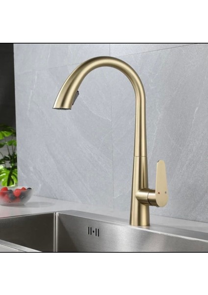 Mat Gold Mutfak Bataryası Spiralli Evye Musluğu Mat Altın Batarya Su Tazzik ve Basınç Ayarlı Armatür
