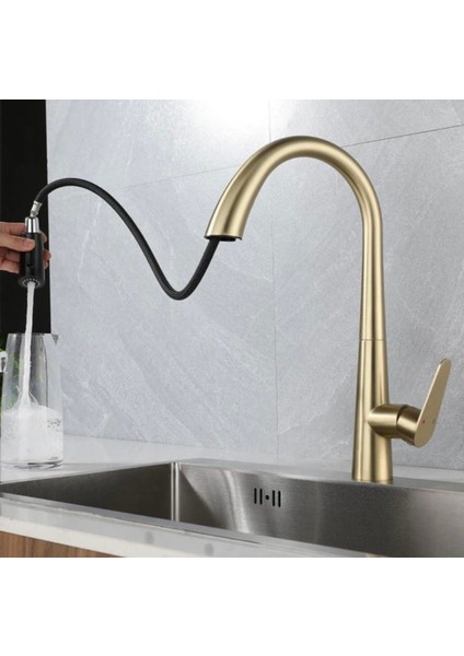 Mat Gold Mutfak Bataryası Spiralli Evye Musluğu Mat Altın Batarya Su Tazzik ve Basınç Ayarlı Armatür fiyatları