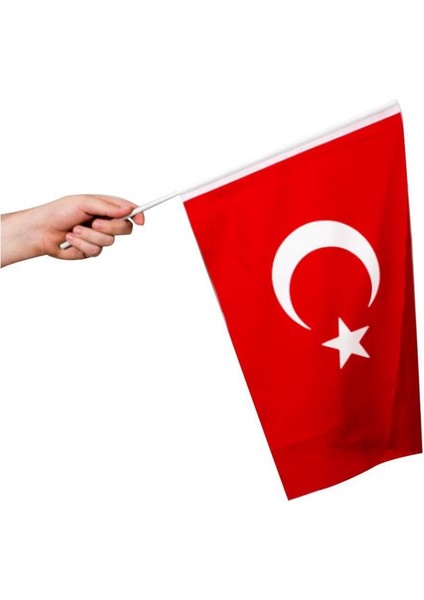 10 Adet 20*30 Sallama Bayrak Alpaka