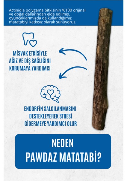 Matatabi -Stıck (7 Adet)- Kediler Için Diş Temizleyen ve Stres Gideren Oyuncak