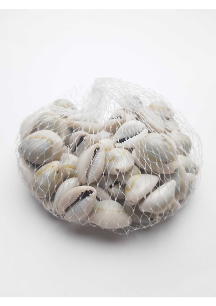 Büyük Tazı Boncuk (Deniz Kabuğu) 22 mm (1 Pakette 100 Gr)