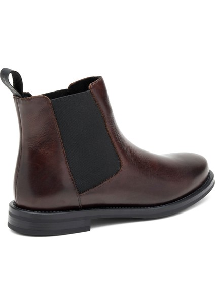 Kadın Bot 98L3 Frau Seta Ankle Boot Caffe modelleri