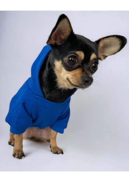 Greelove Bleu Love Köpek Sweatshirt Hoodie Köpek Kazağı Köpek Kıyafeti