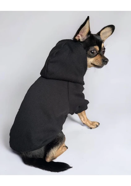 Black Köpek Sweatshirt Hoodie Köpek Kazağı Köpek Kıyafeti