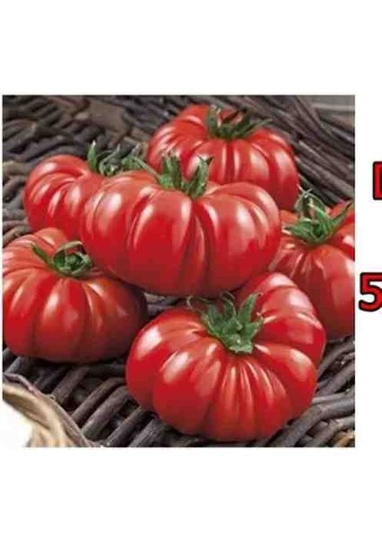 5 Adet Köylü Domatesi Ata Tohumu