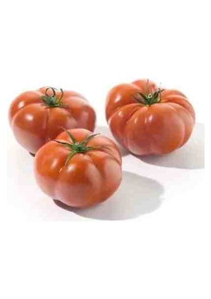 5 Adet Köylü Domatesi Ata Tohumu fiyatları